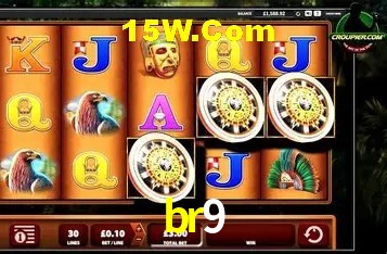 Security Systems br9